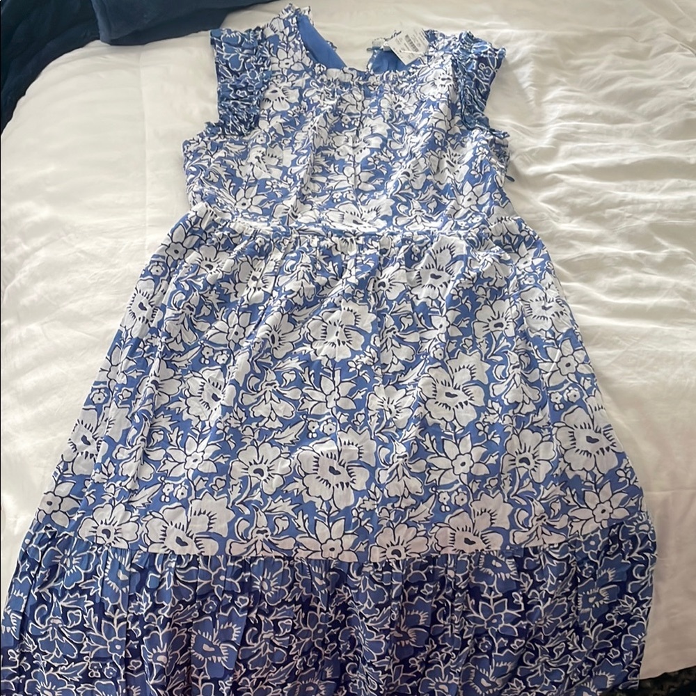 J. Crew Blue and White Casual Sundress